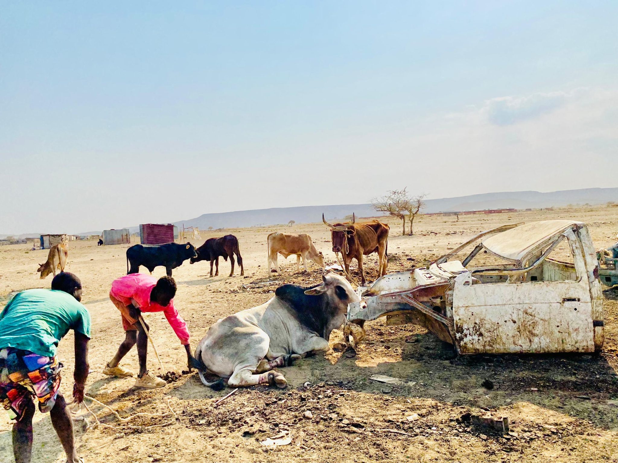 Ministry revises climate change policy
