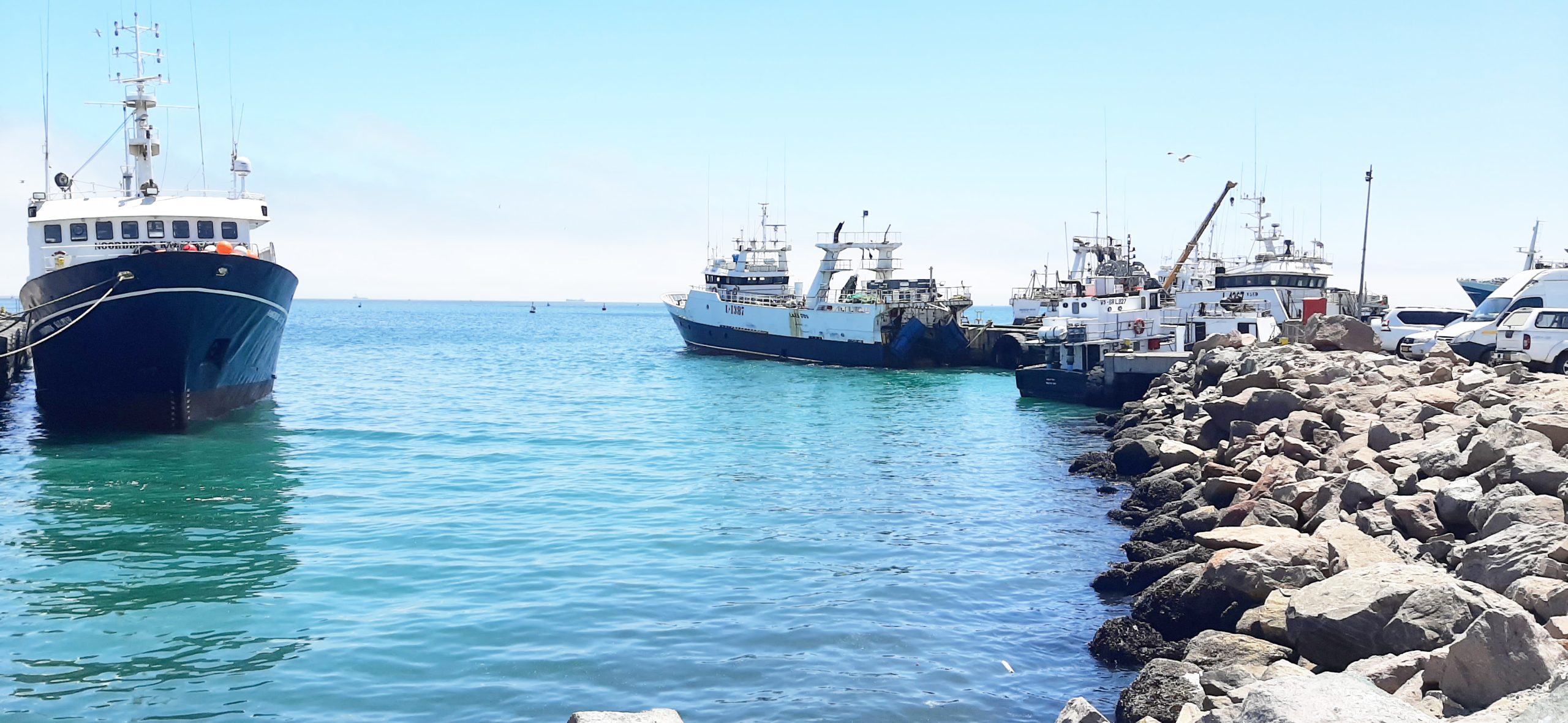 Competition commission finds nothing fishy