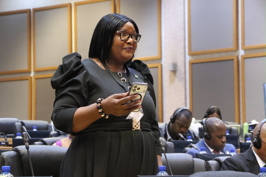 Namibia: Unite against xenophobia