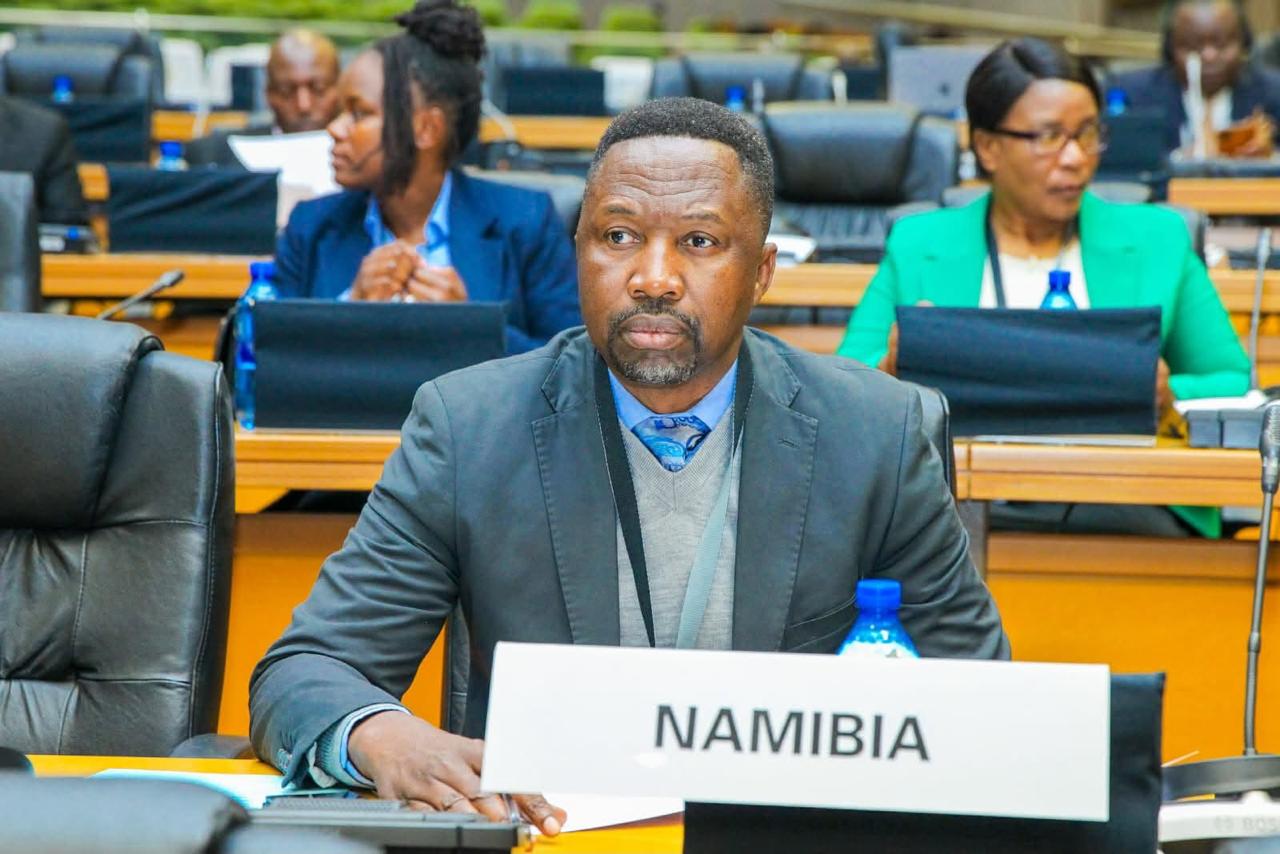 Muha calls for stronger parliamentary diplomacy