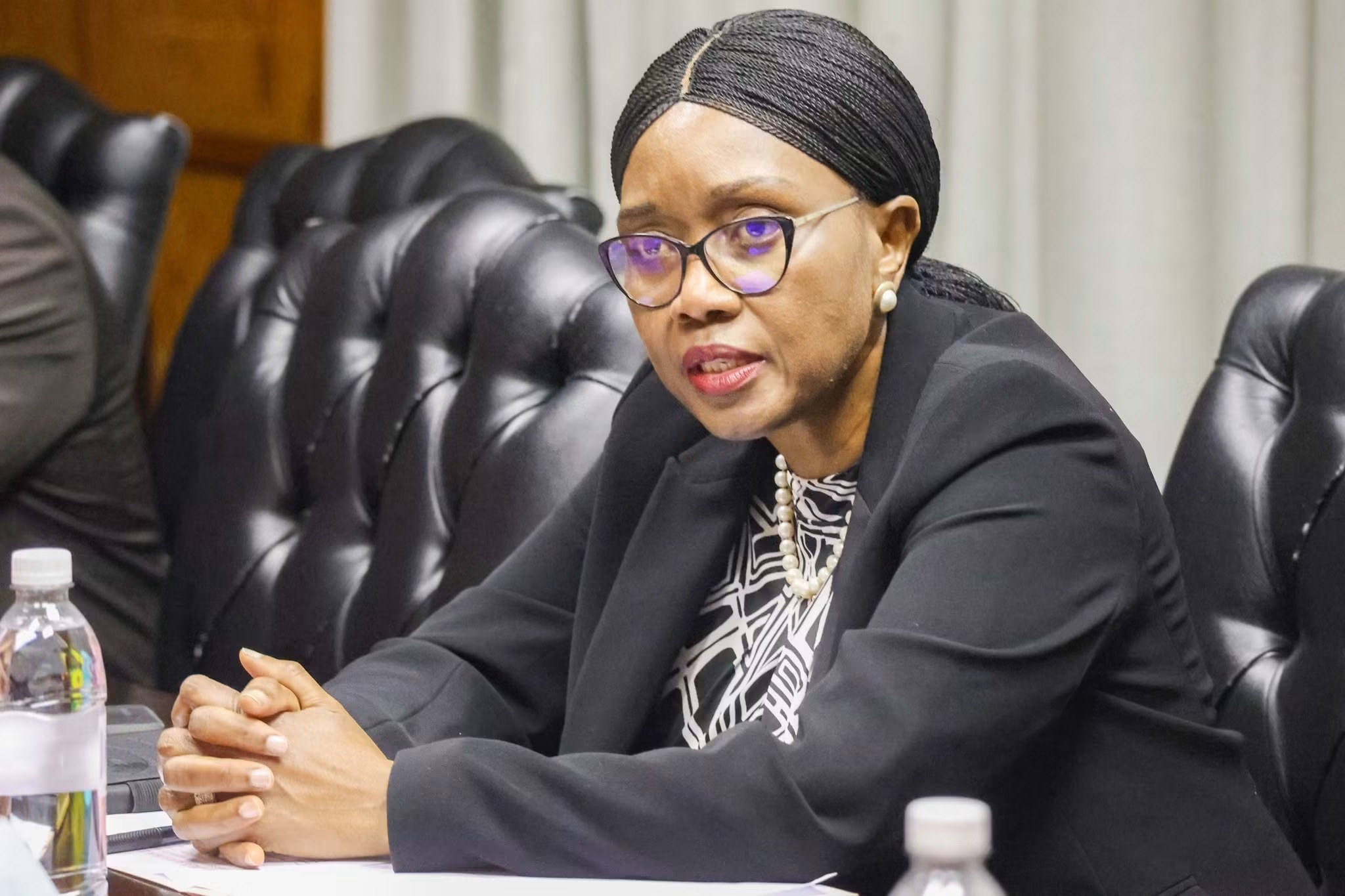African treaties mustn’t collect dust – Speaker