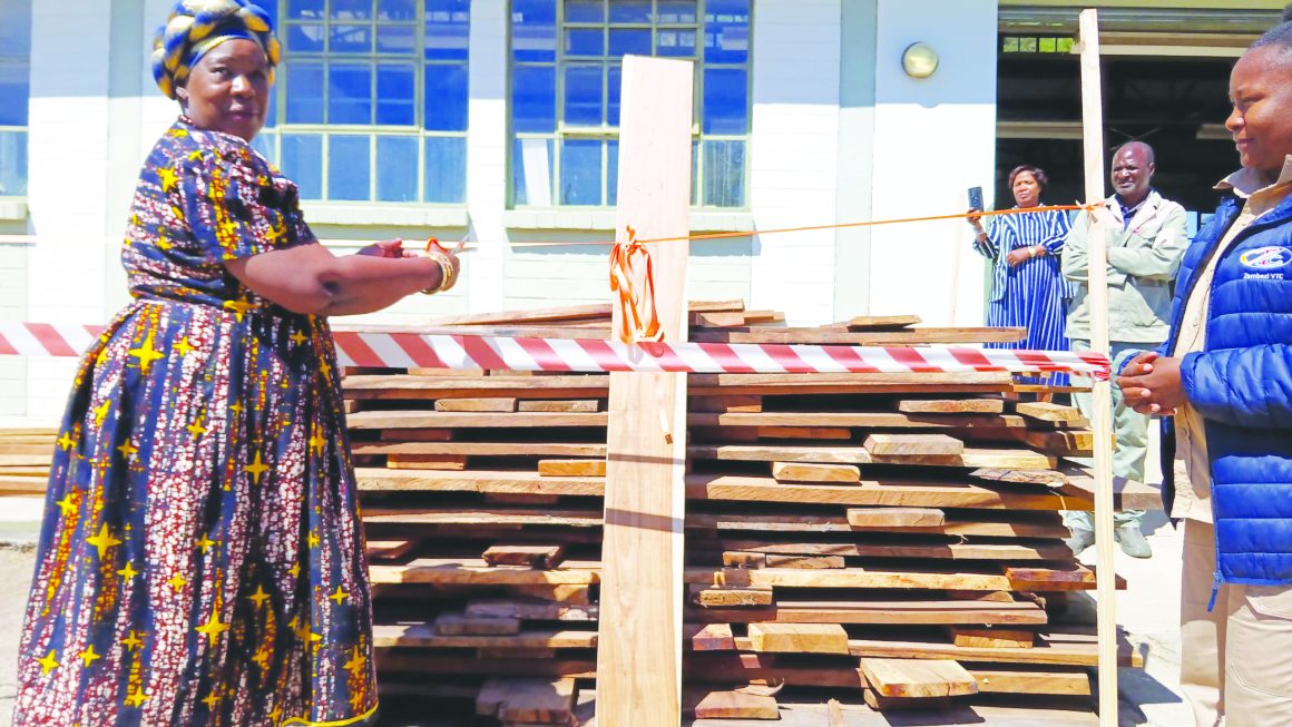 Neulo yamabala iyandulula zibo yababanca kwaZVTC