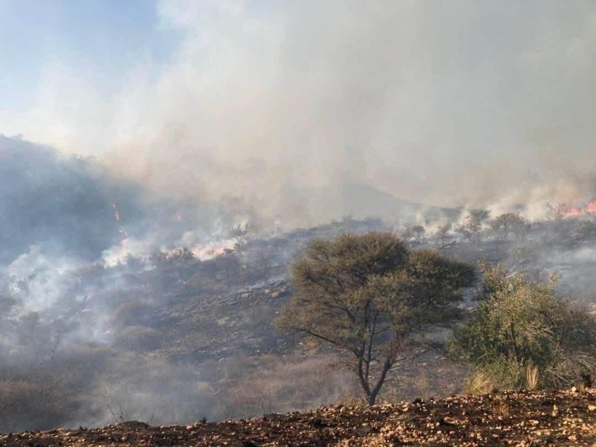 Veldfire destroys 7 758 hectares