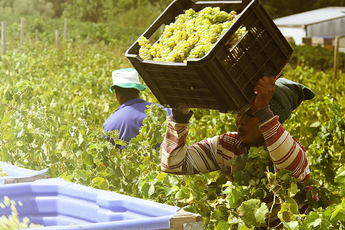 Agronomic Board awards set for Gobabis…to celebrate industry excellence