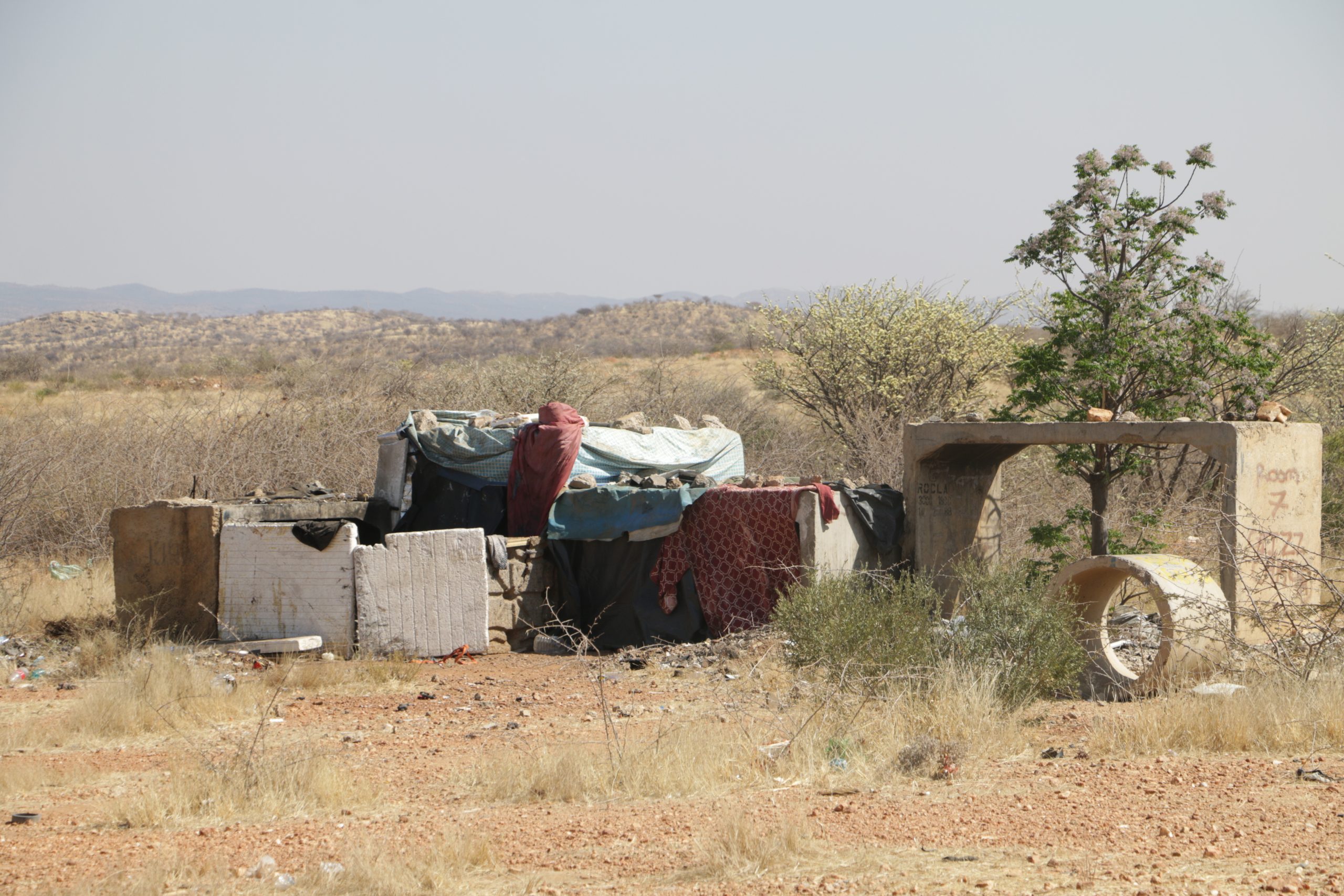Baboon City residents plead for City audience