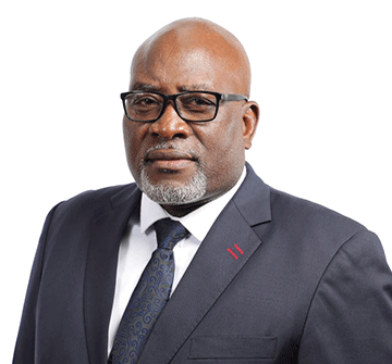 Govt accelerates rural electrification