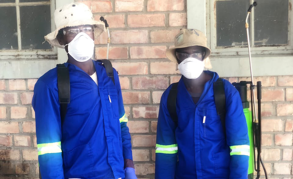 Young entrepreneur turns pest control into community impact