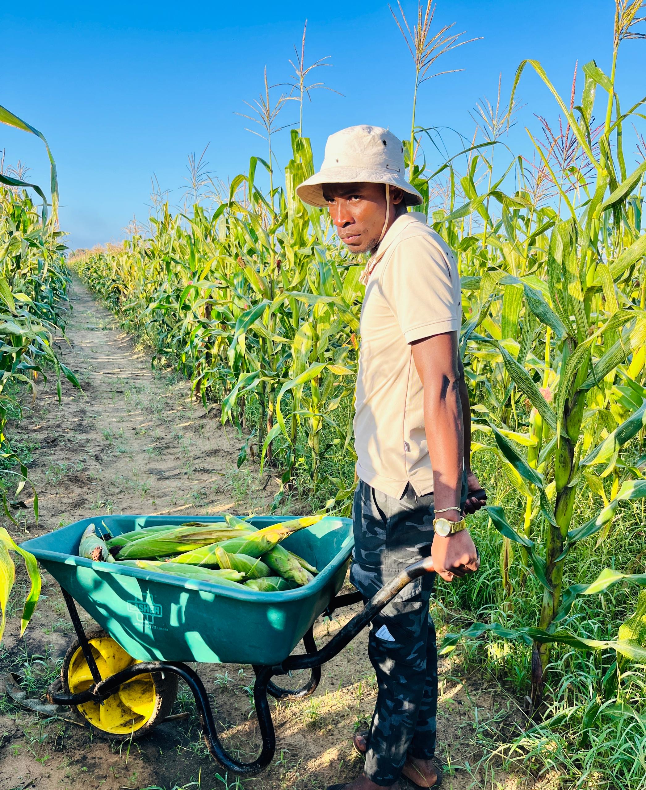 Cousins building farming empire on family legacy