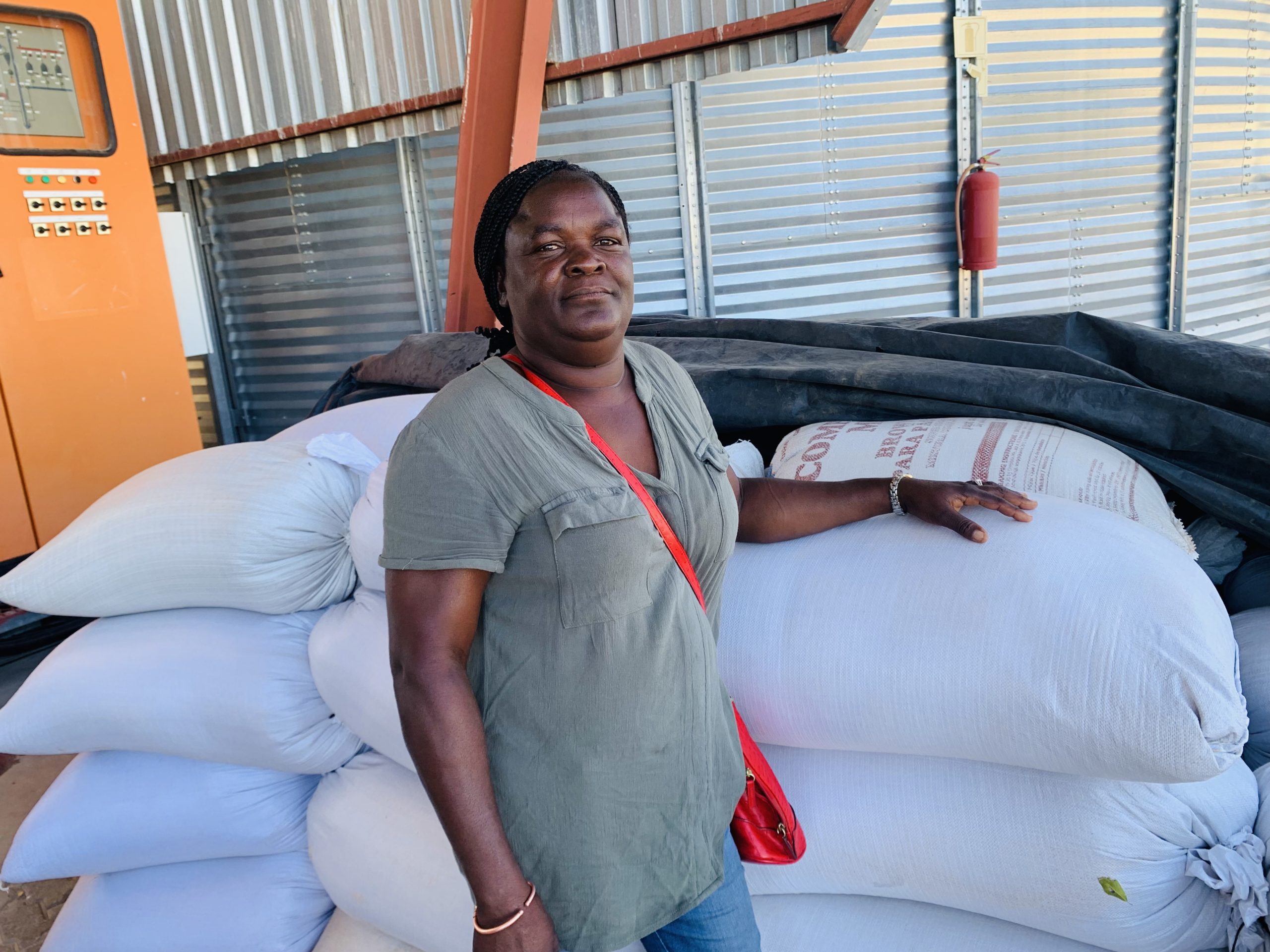 Omusati farmers defeat poverty ...‘the soil does not discriminate against the unemployed’