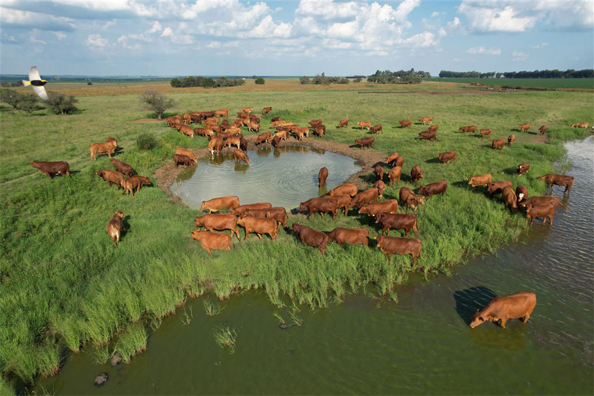 Farmer's Kraal