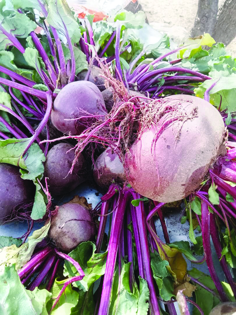 Naoaspoort feeds more than a family