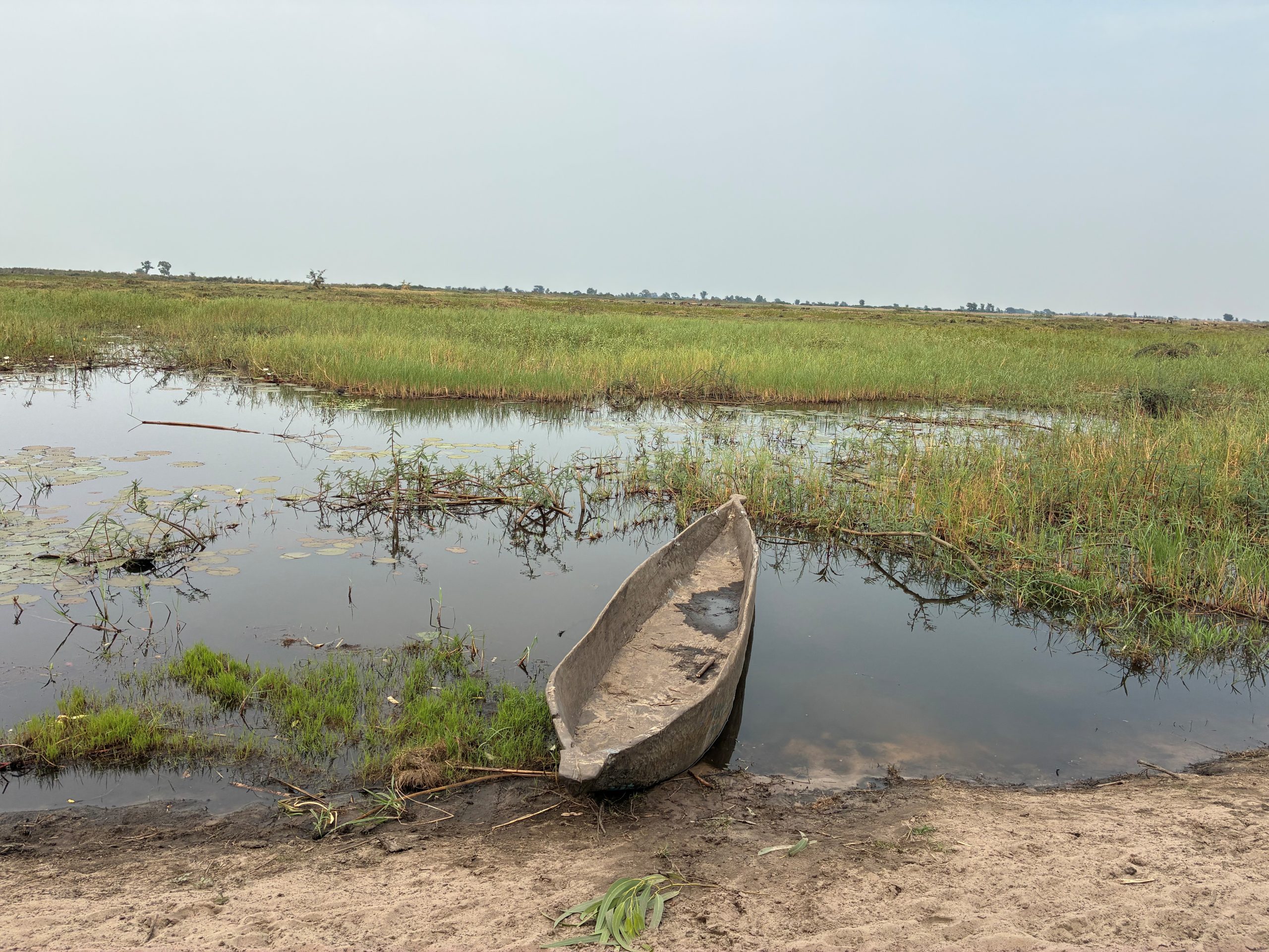 Father, son killed in hippo attack
