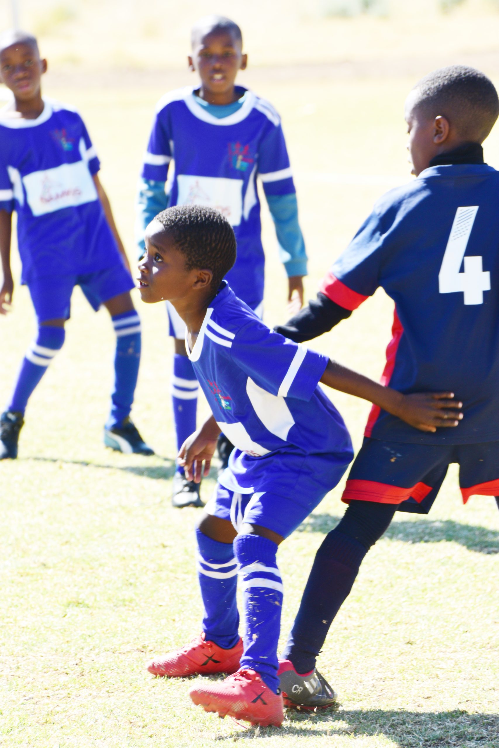 MTC HopSol youth league enters knockout phase