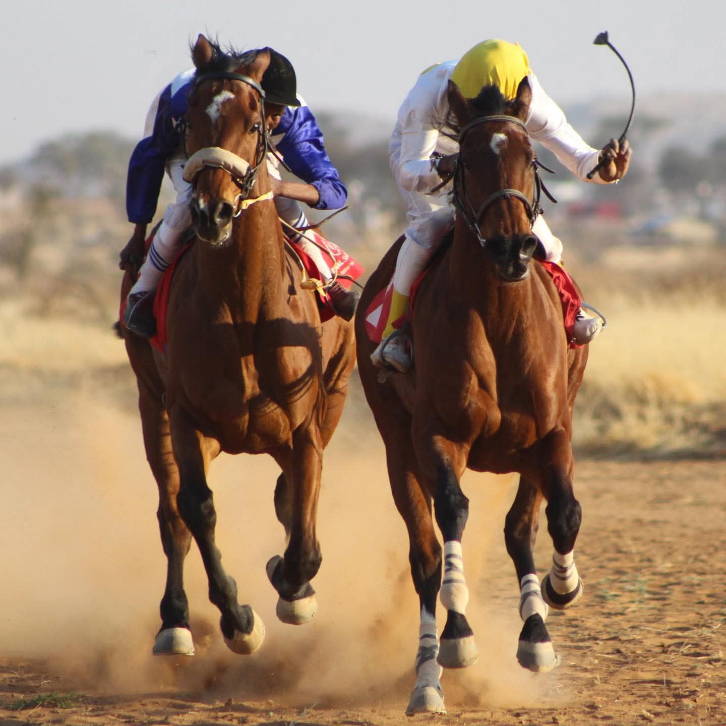 Horse Racing Fun Day set for Rehoboth