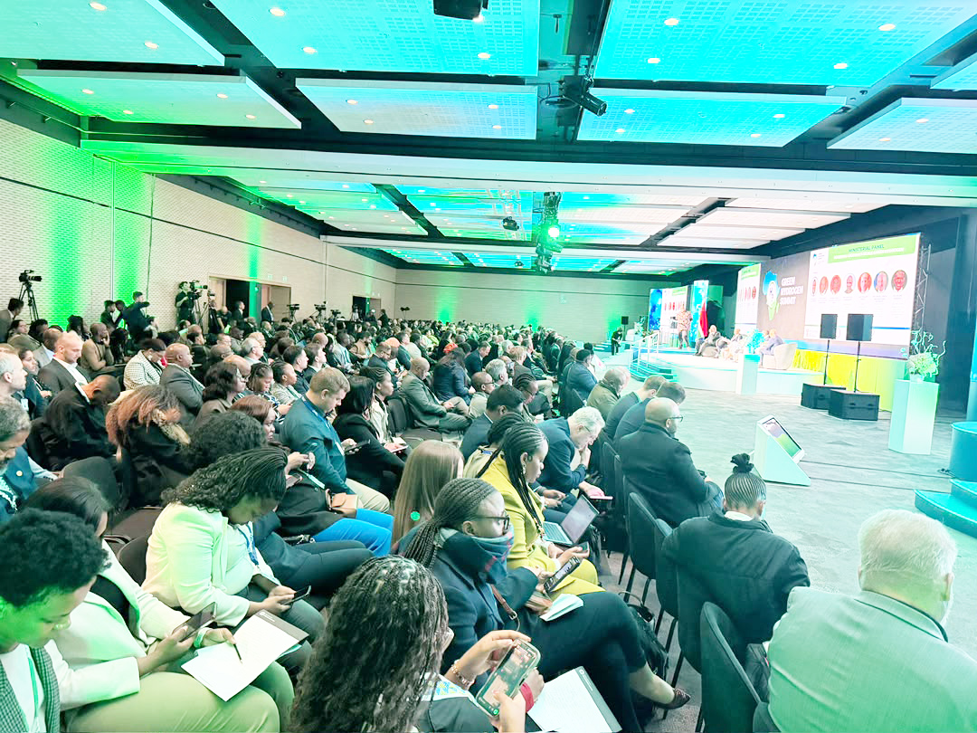 Namibia seeks investment at African green summit