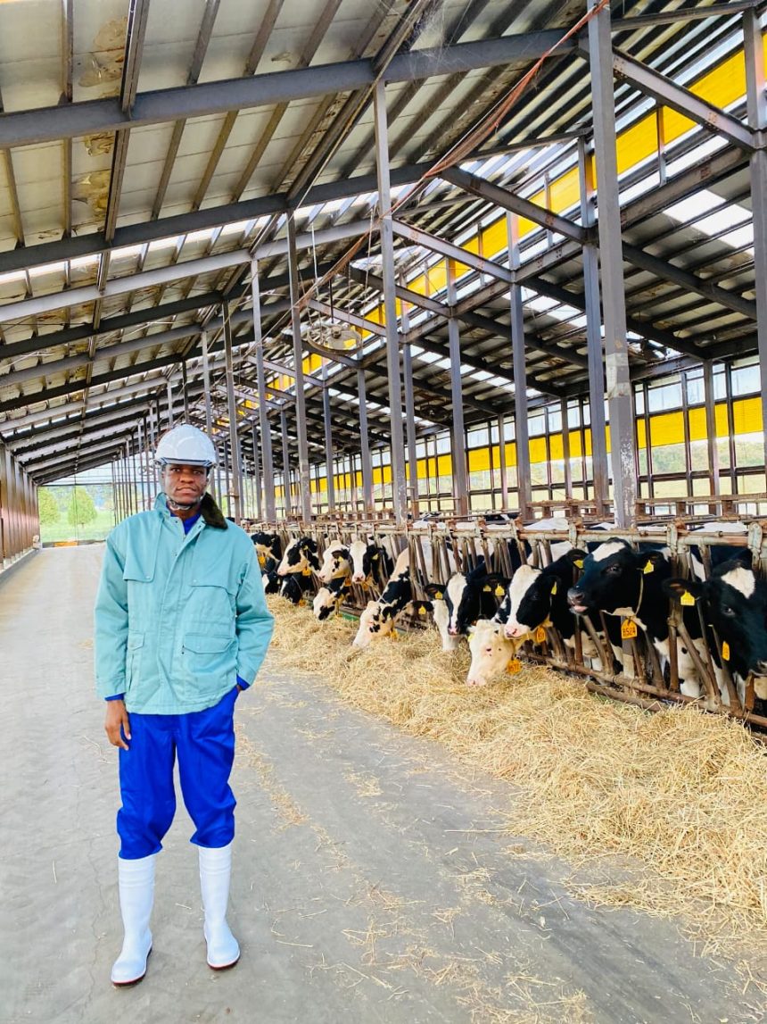 Kavari takes livestock dreams to Japan