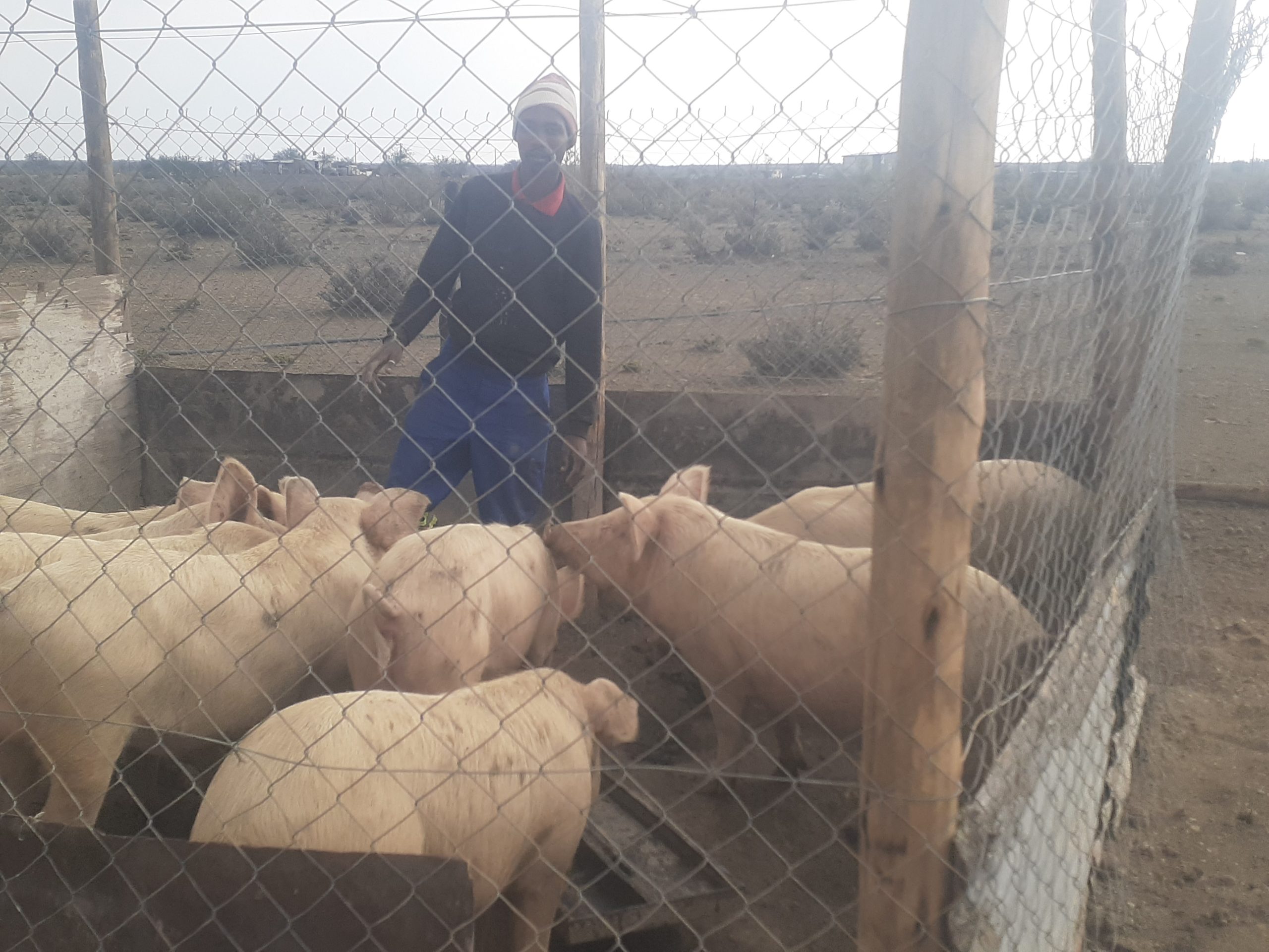 Youth fund throws young farmer lifeline