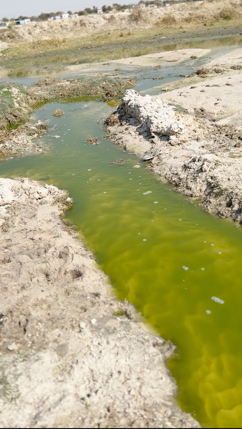 Oshakati’s sewage fishing survival stench