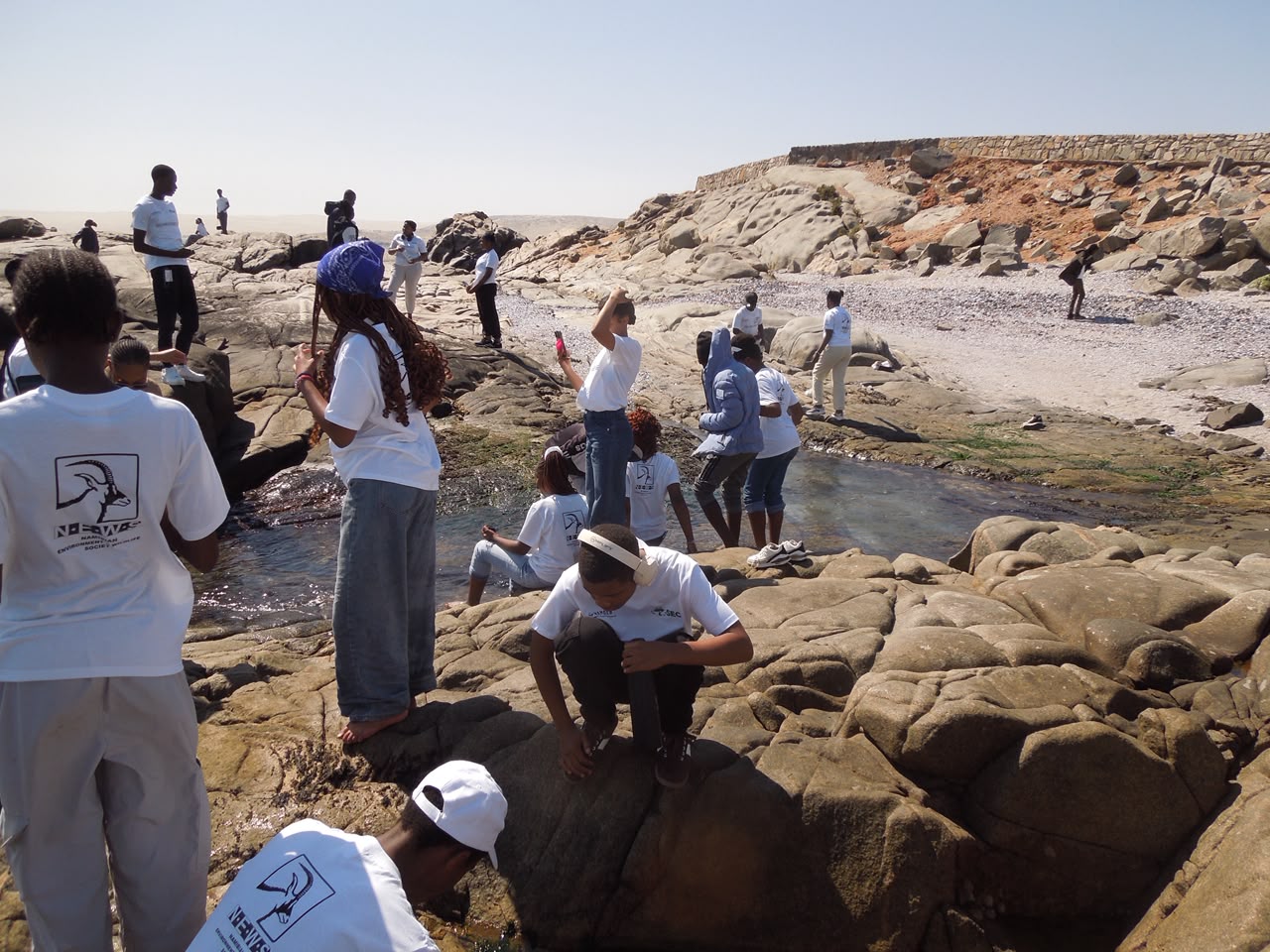 Environmental textbook comes to life
