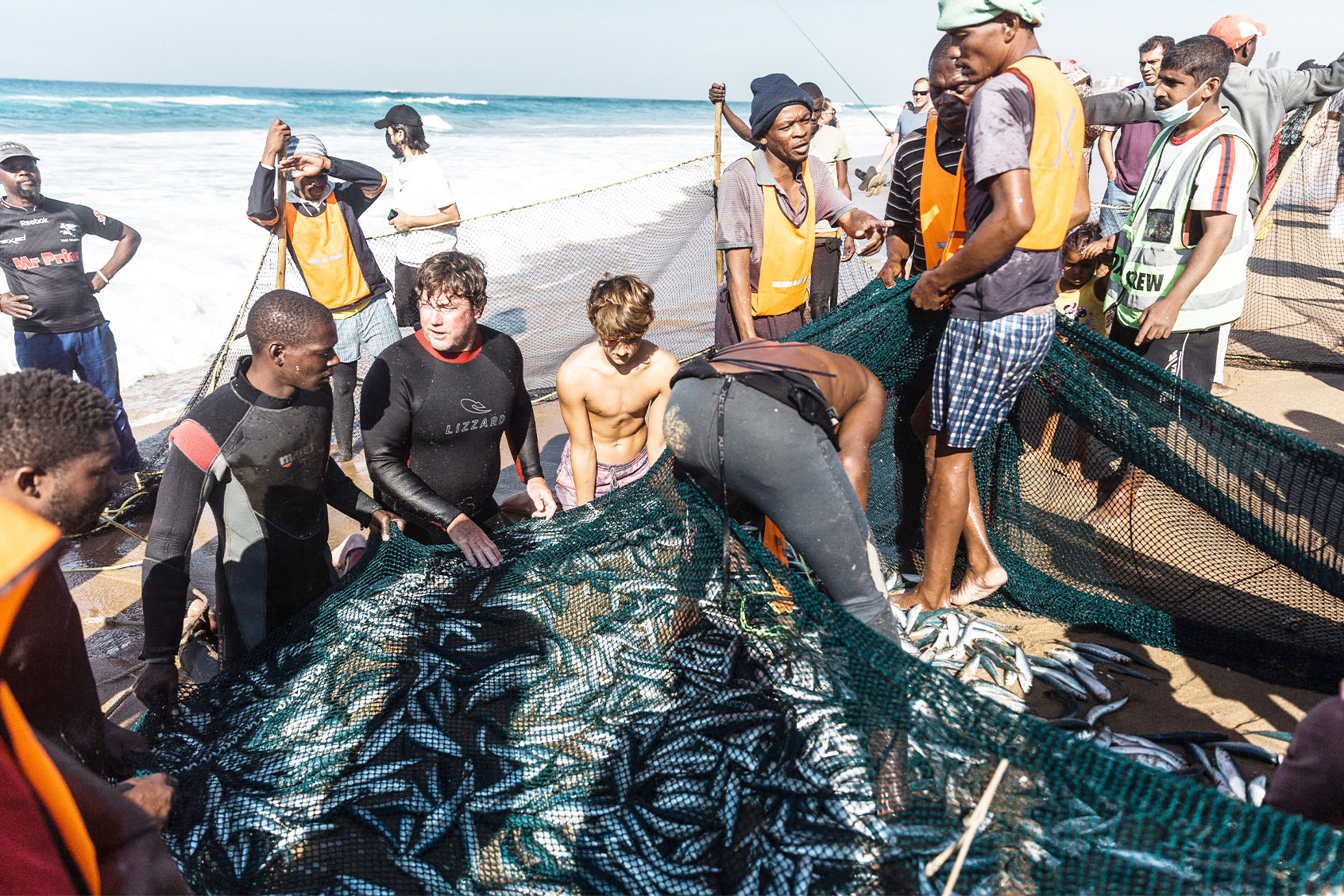 Deadly virus stalks South Africa’s sardines
