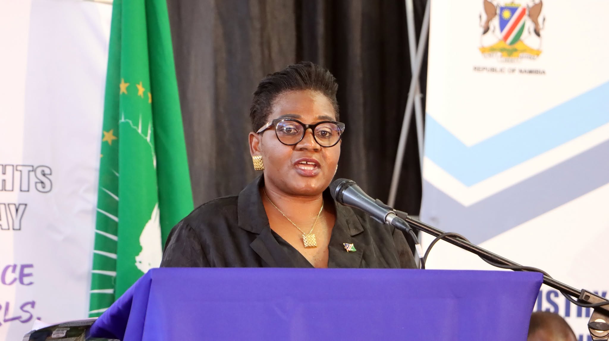 Namibia’s social workers’ shortfall at 330
