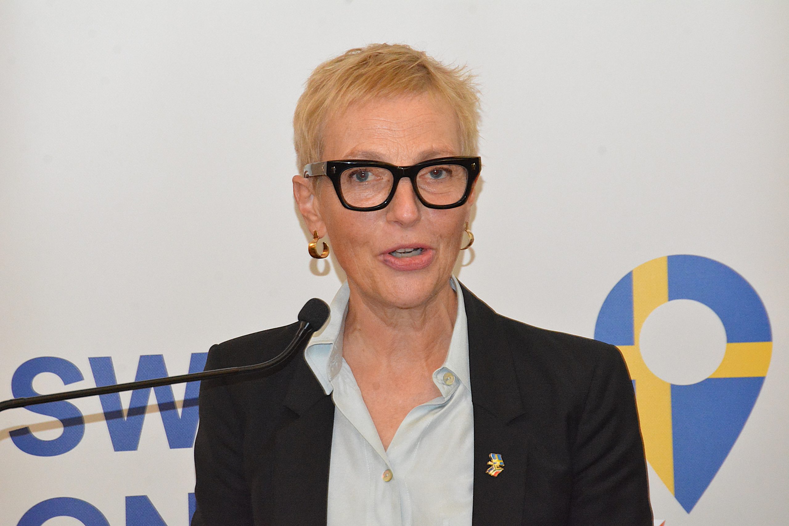 Sweden, KZN eye stronger cooperation