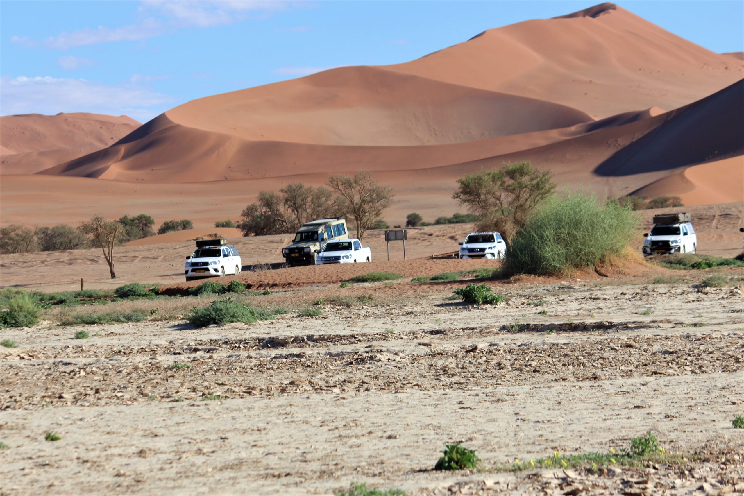 Namibia targets 1.8m tourists by 2030 ... sector to contribute N$18.5b to GDP by 2030