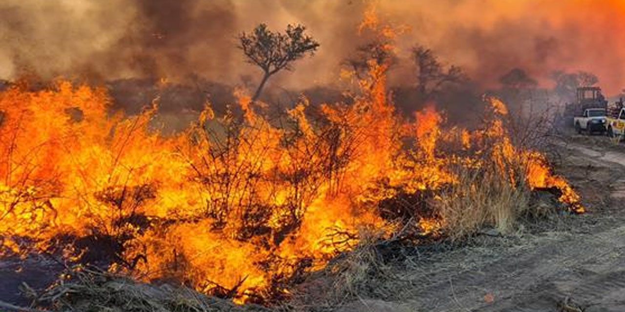 Oshana loses 38 000 ha to fire