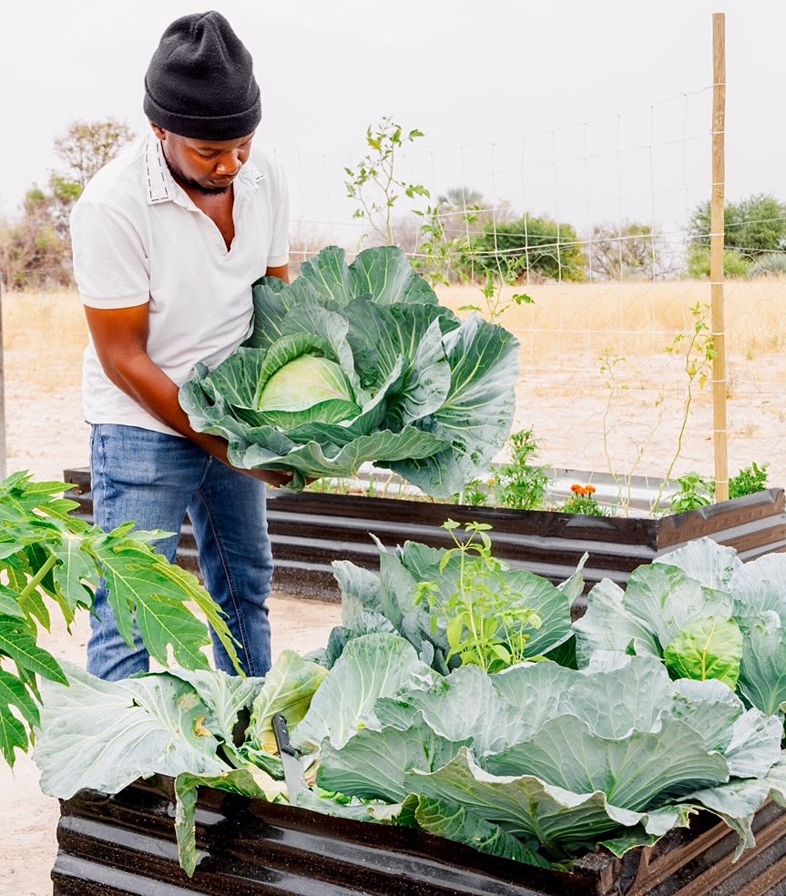 Backyard garden feeds family, brings extra income