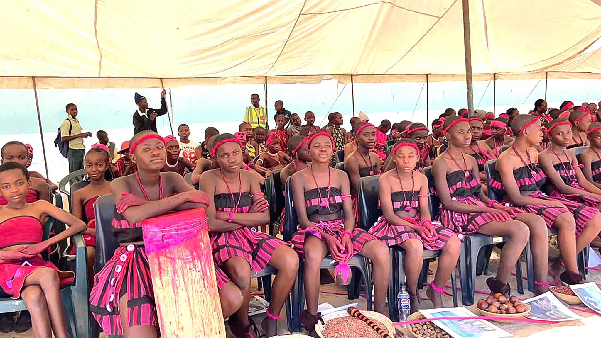 Culture can create jobs, wealth – Gabriel