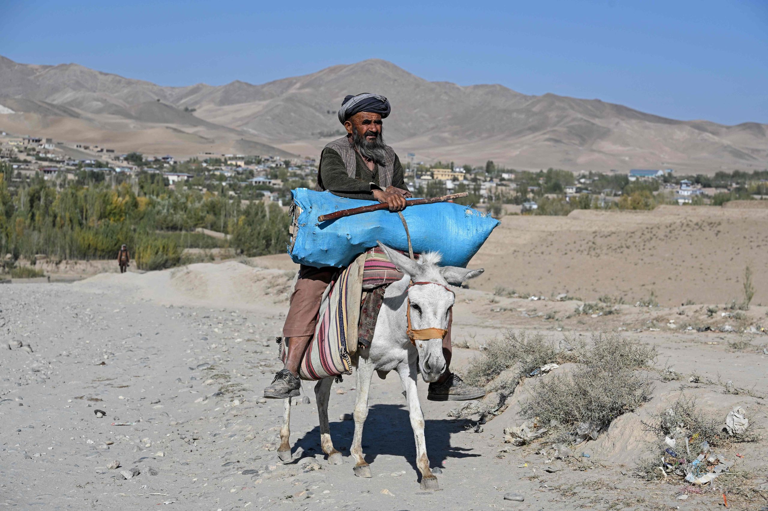 UN says 19m Afghans facing acute food insecurity by April