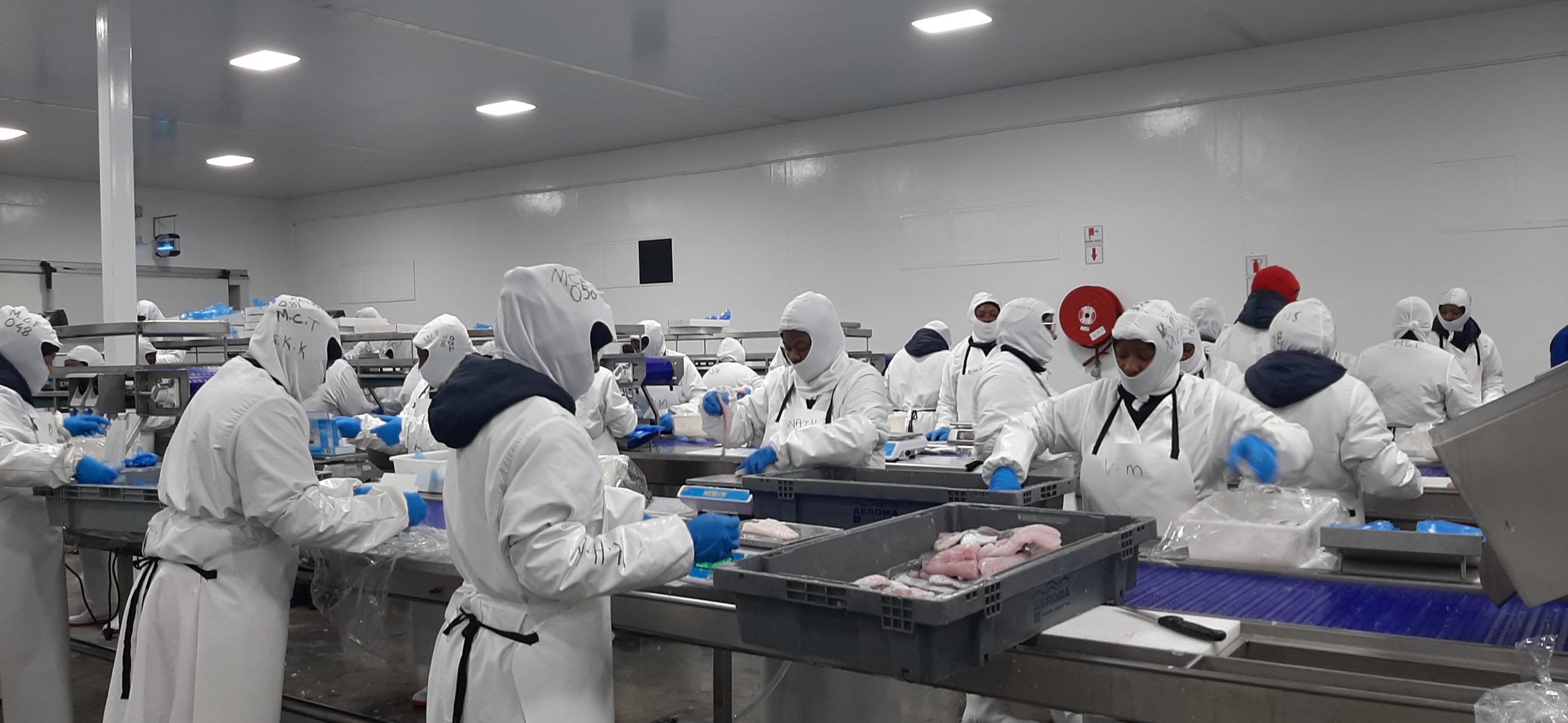 Fish exports earn N$4.6b despite lower catches