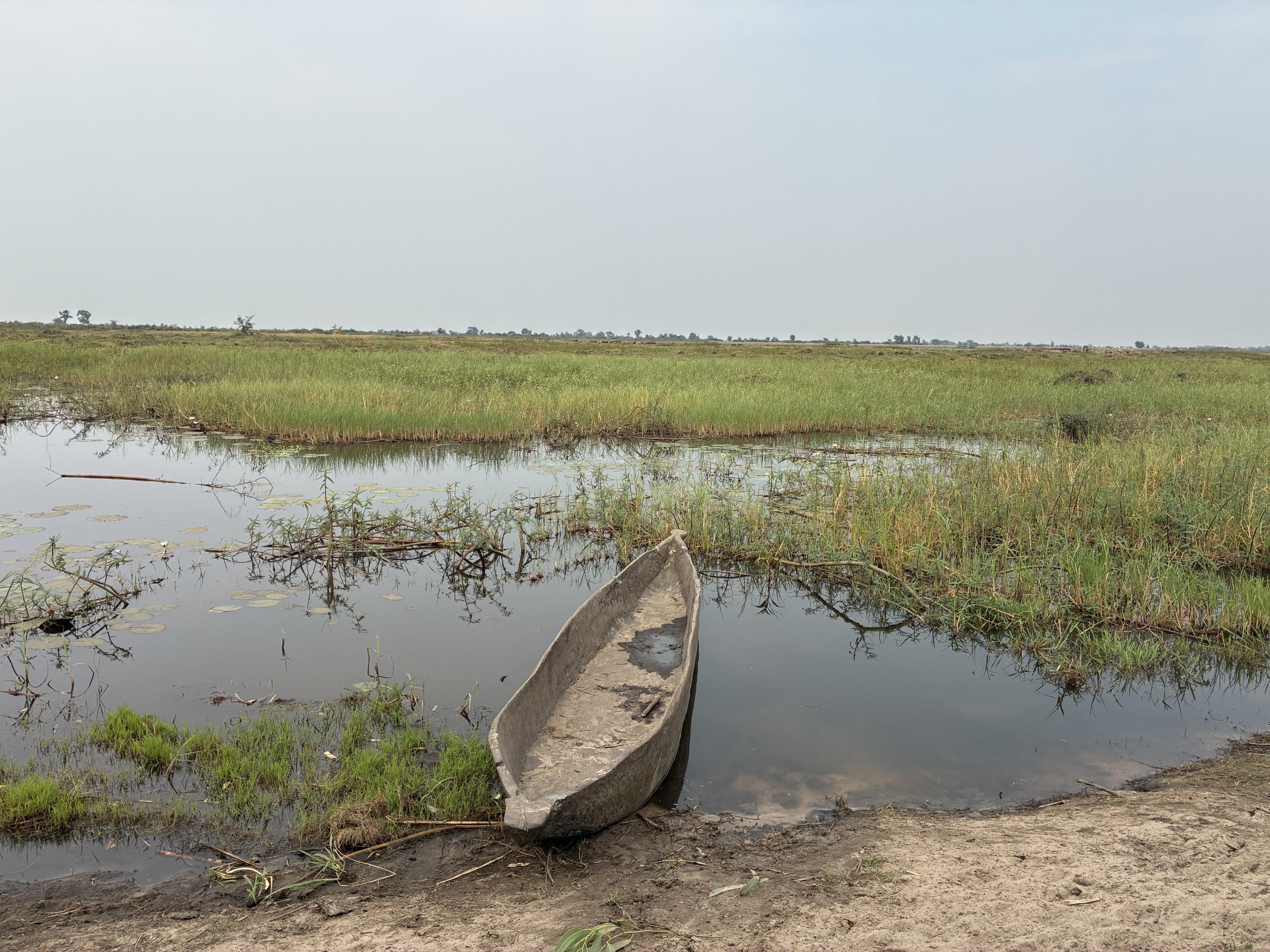 Hippo kills Zambian man while fishing