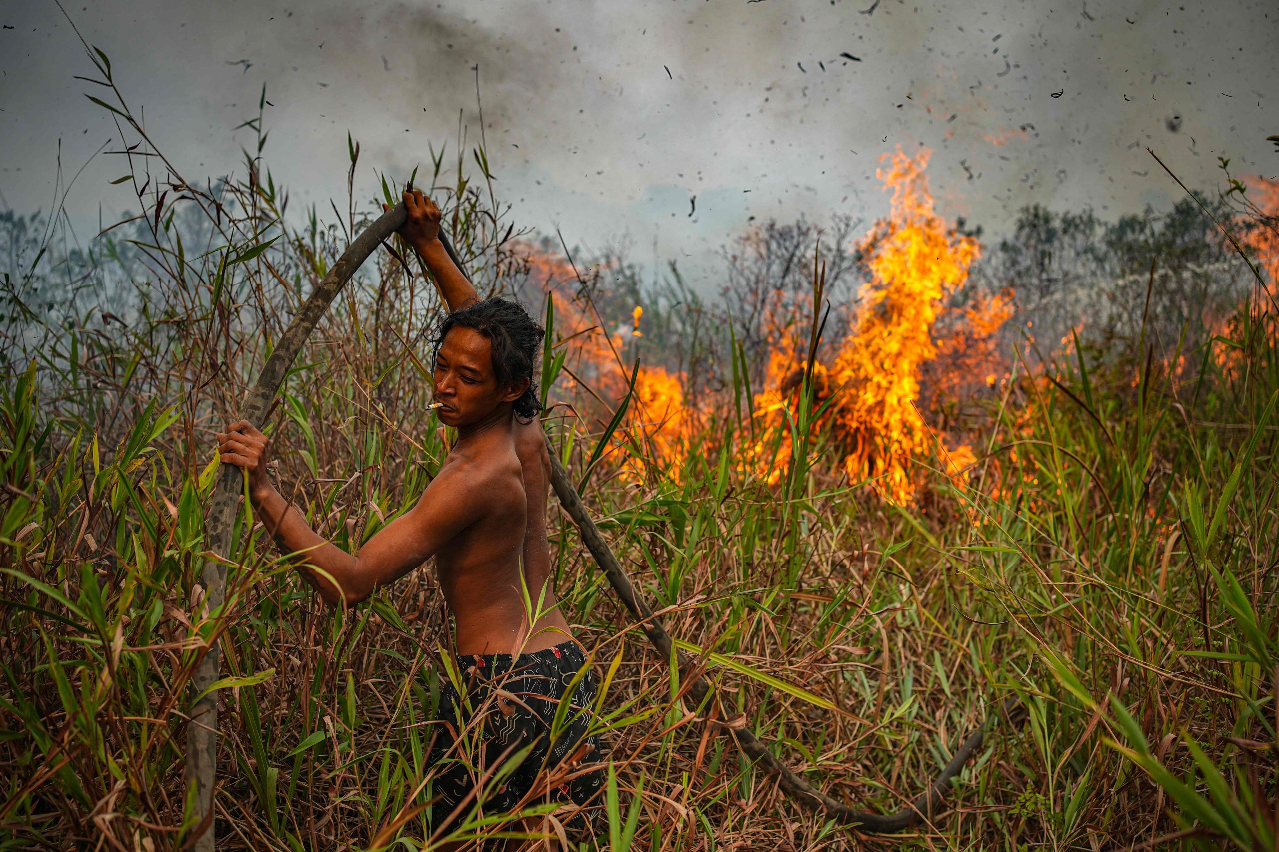 Indonesia fires have burned nearly two million hectares: monitor