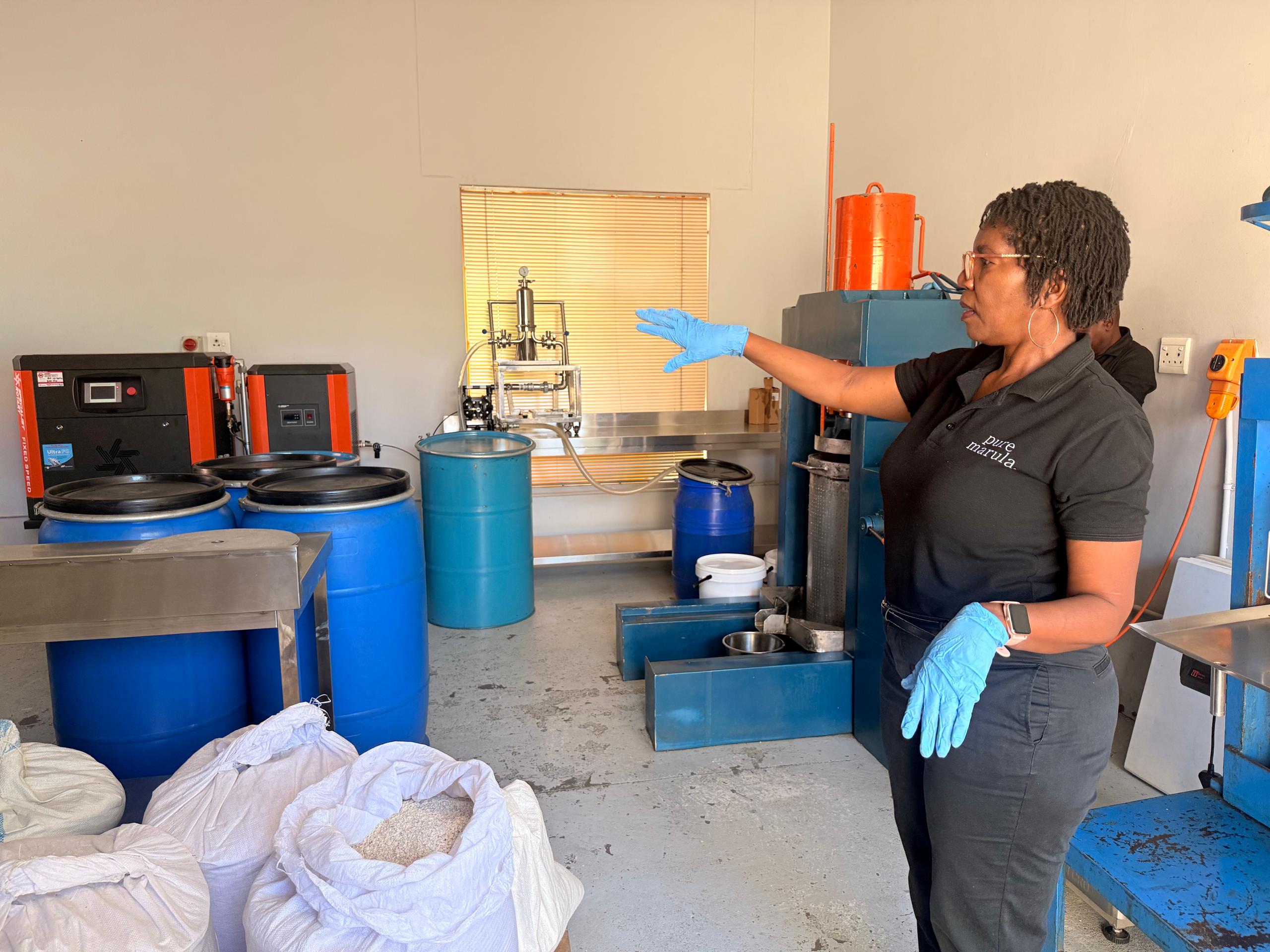 Namibian women add value to marula fruit...creates income for 430 villagers
