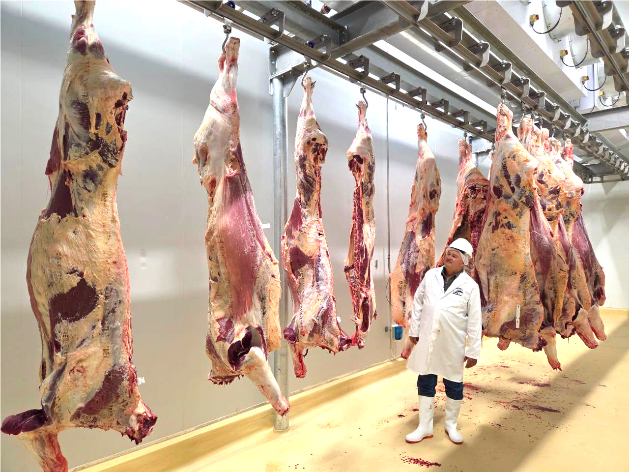 NAU calls for return to European market after temporary EU ban…market too lucrative to forego