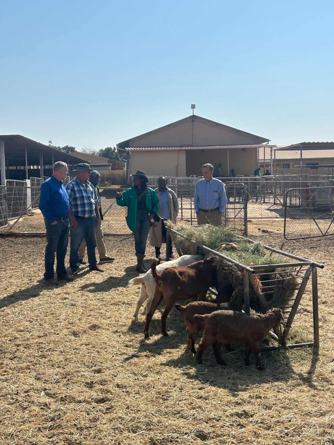 Namibia, USA vow to strengthen livestock breeding industry