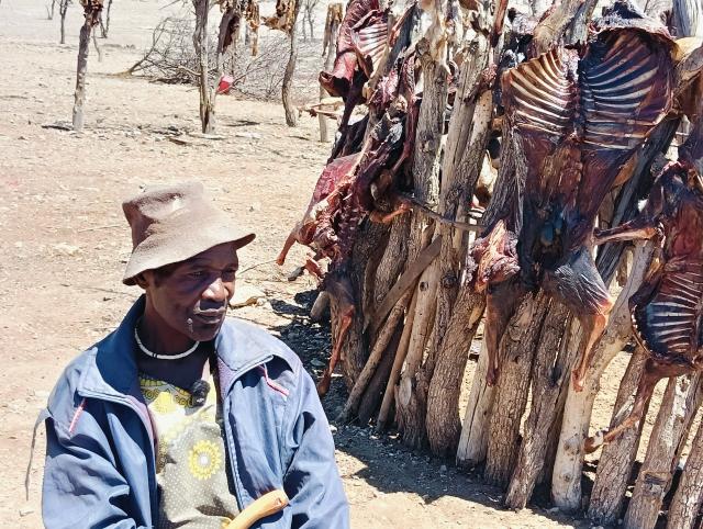 Blessings with a curse at Okahungu... communal farmers’ goats perish in rain and hail