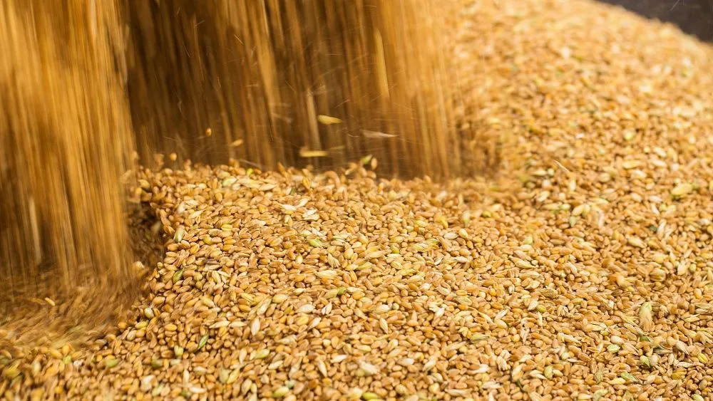 Forecast for global grain harvest increases by 7 million tonnes since September