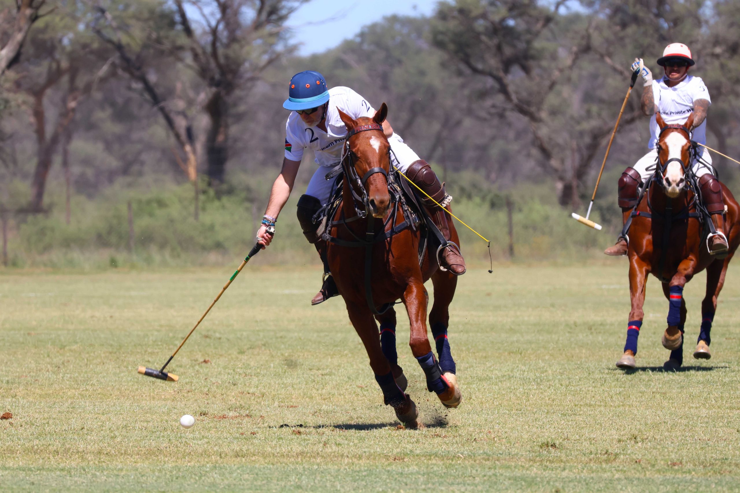 Namibia’s second polo showcase set for tomorrow