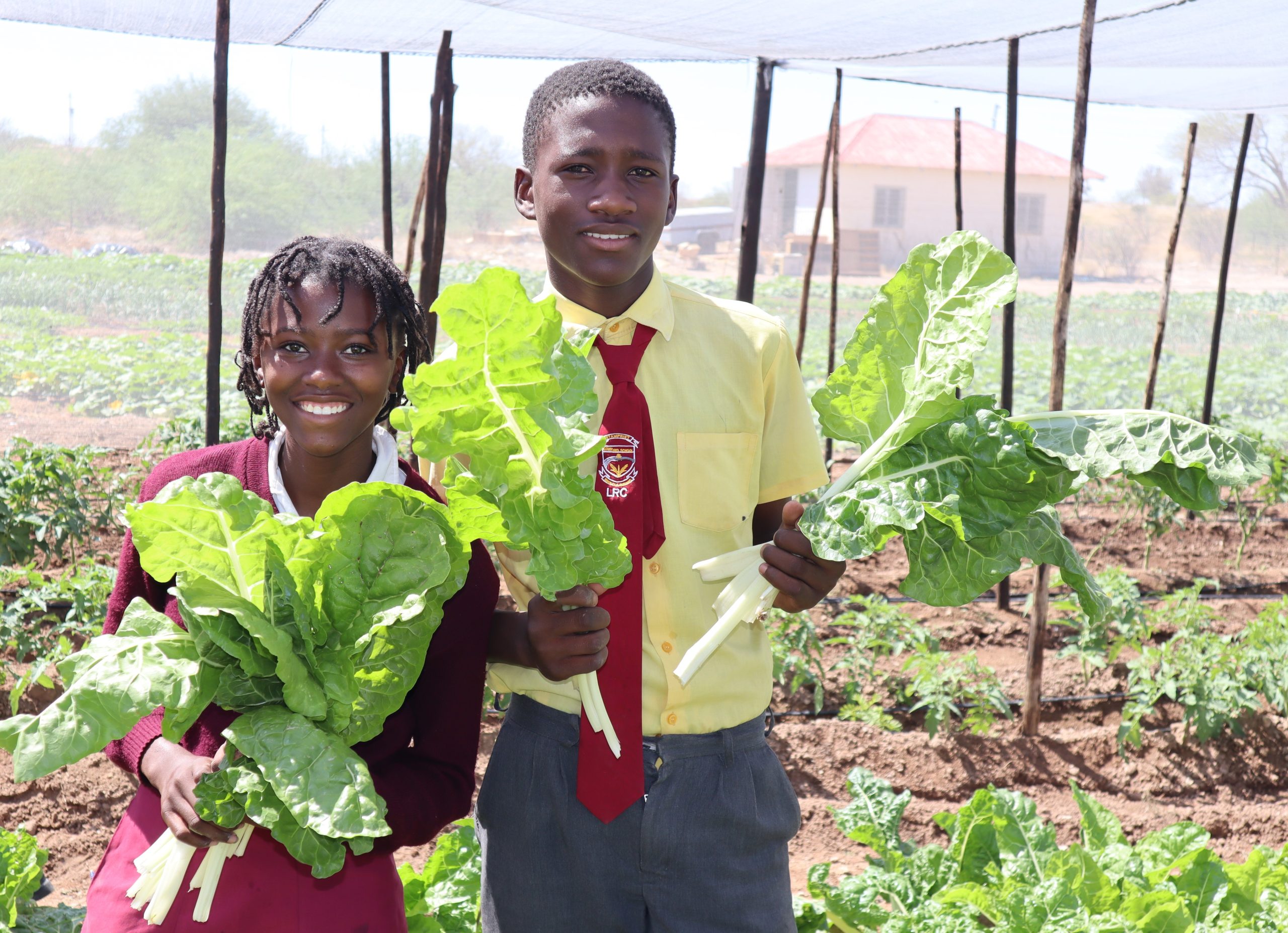 School feeding programme to reach 700 000 learners
