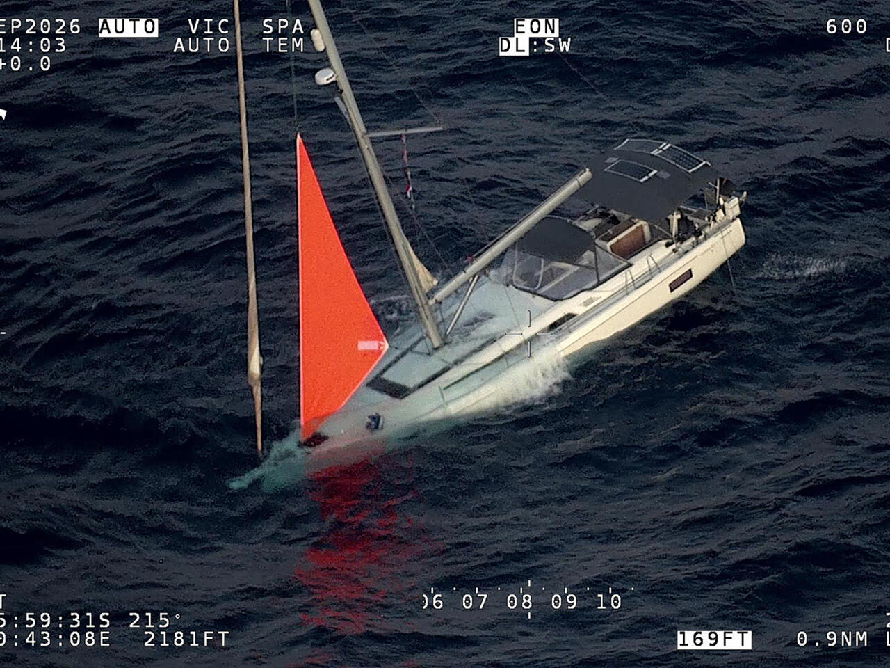 Sperm whale sinks yacht in South Pacific