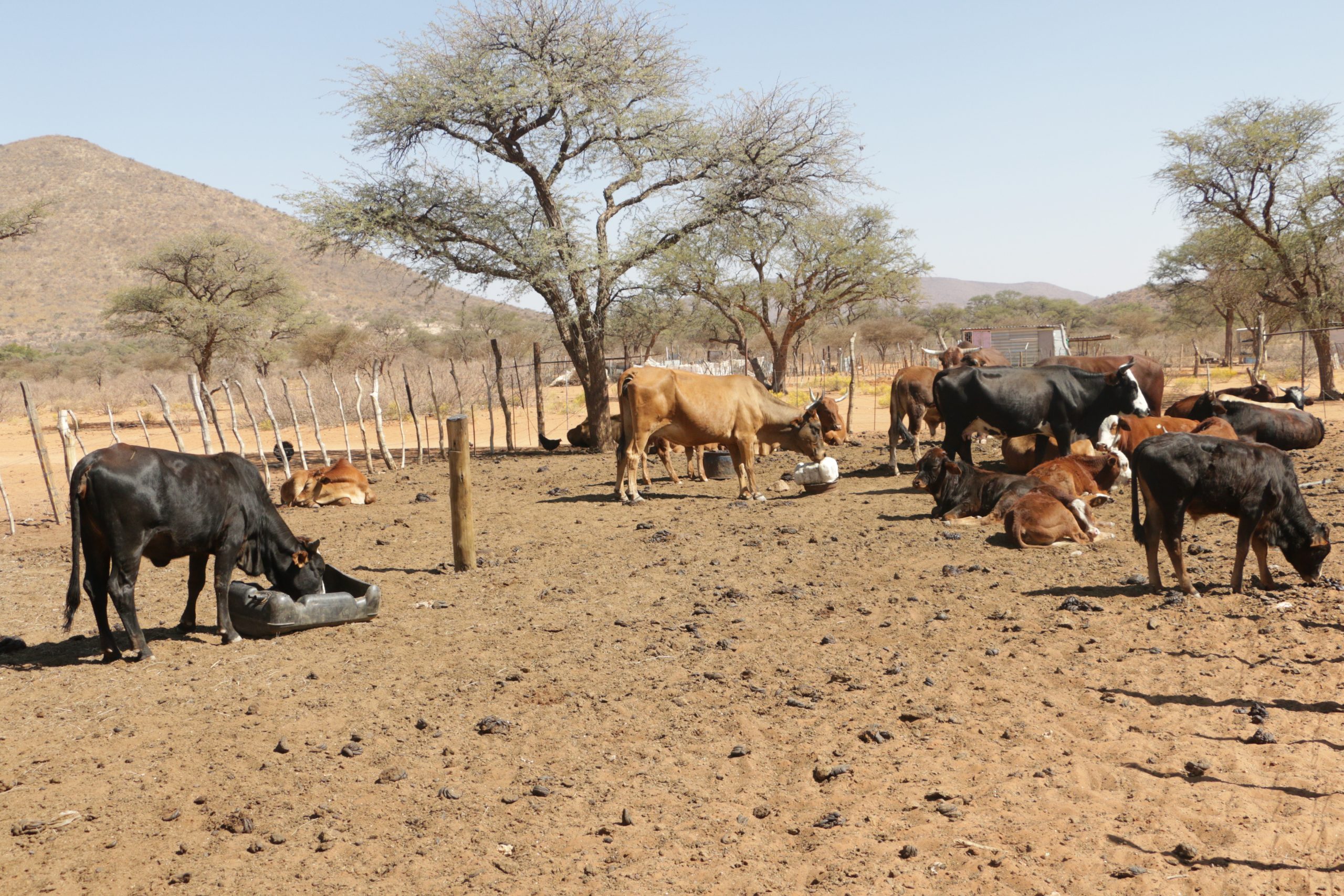 Govt rejects privatisation of communal land