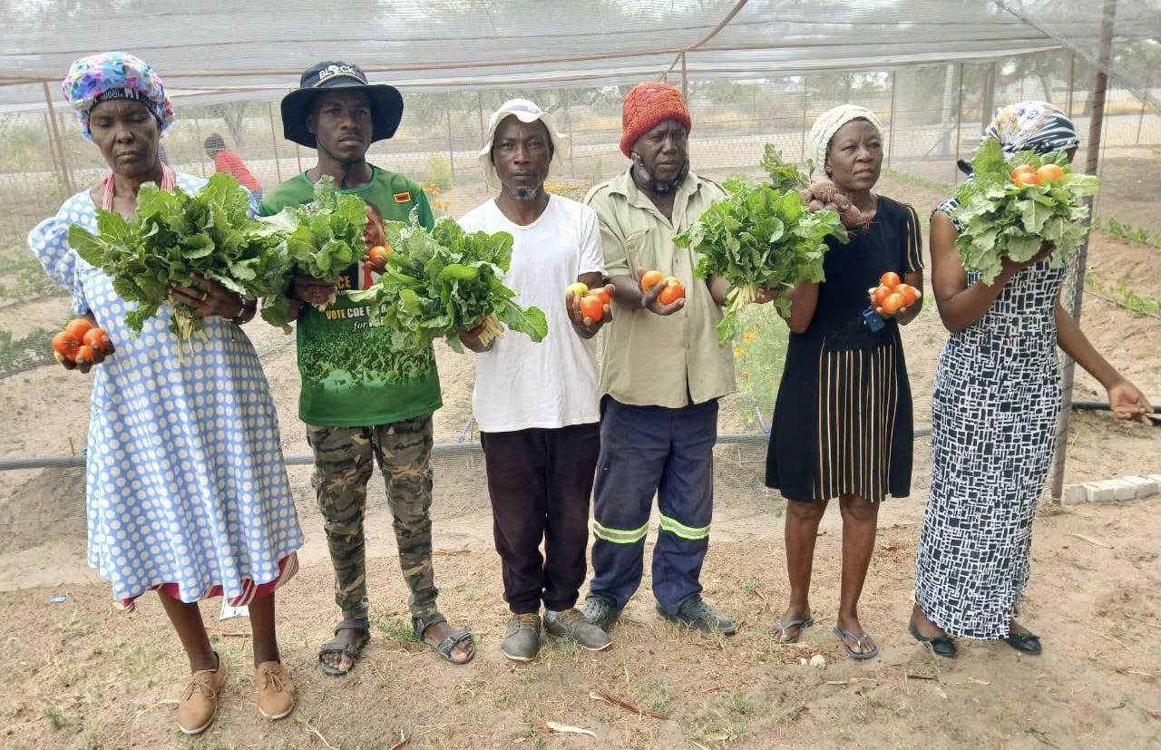 Community garden reaches 38 vulnerable households