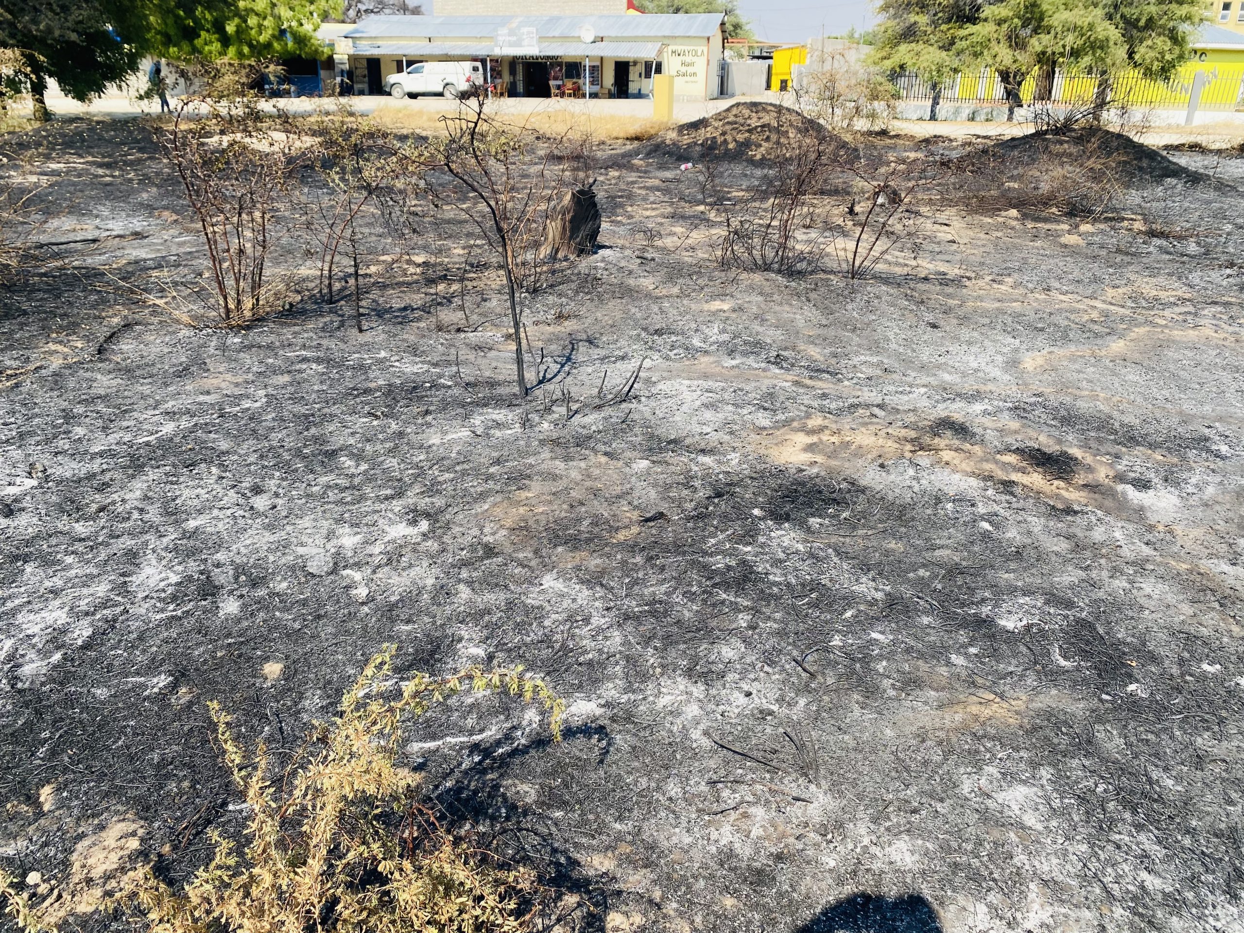 Ongwediva warns burning grass, roaming animals
