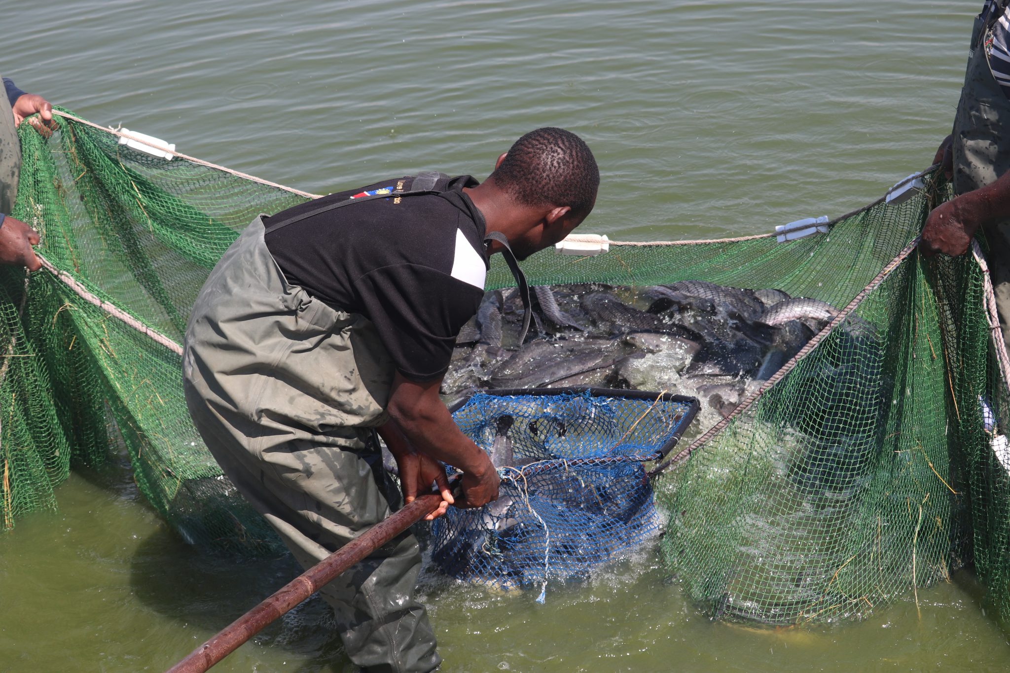Small-scale fishermen want voice in decisions