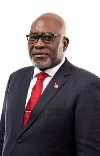 Green finance must deliver development, Amutse says