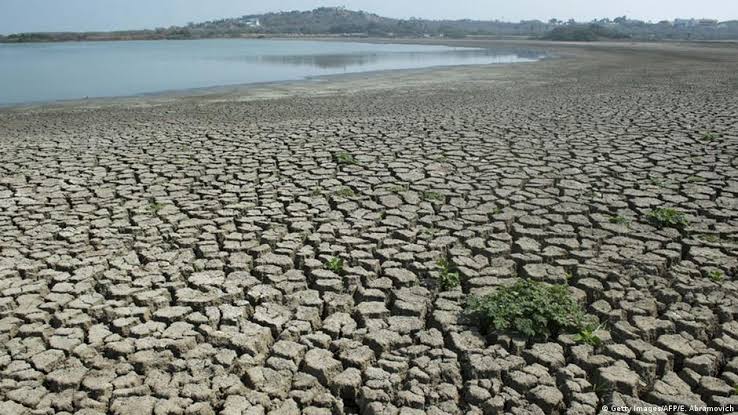 SA summer grain season faces El Niño risks as maize, soybean prices rise