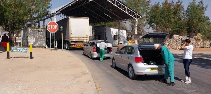 FEATURE | FMD is a test of leadership Namibia cannot afford to fail