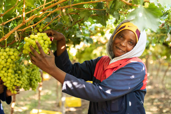 BoN says economy grew 4.8% in second quarter